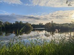 -泗洪洪泽湖湿地景区