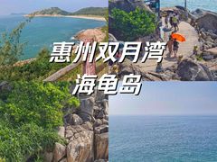 -广东惠东海龟国家级自然保护区