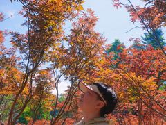 -广州市帽峰山景区