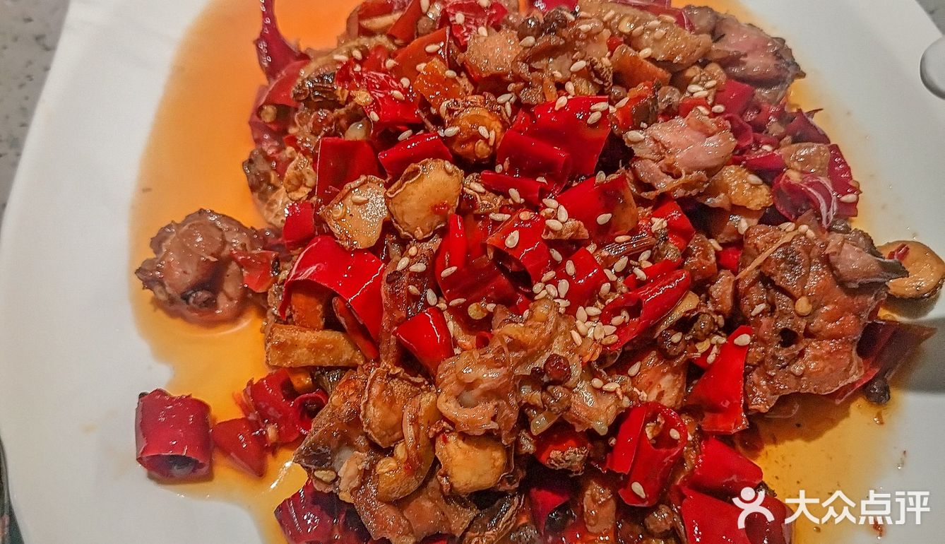 秦小酌美食如画，景色宜人！