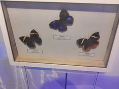 -中国湿地博物馆