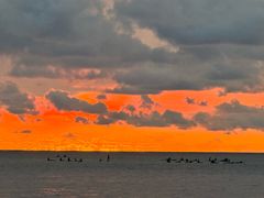 -Sunset Bar(丹绒亚路香格里拉店)