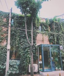 点击看大图 -河南中医药大学第一附属医院-医疗整形