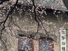 -山东大学(趵突泉校区)