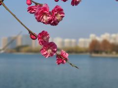 -石湖景区