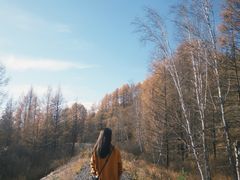 -莫尔道嘎国家森林公园