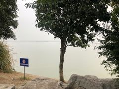 -贡湖湾湿地公园