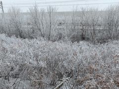 -星巴克(天津佛罗伦萨小镇店)