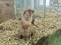 -海合安武汉极地海洋公园