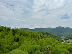 -莫干山风景区