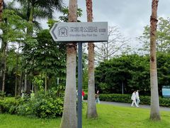 -深圳湾公园(南山区)