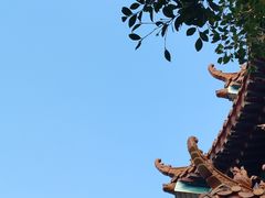 -神光山国家森林公园