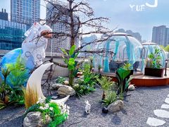 -享月汤皇·海鲜小火锅·聚会(曲江创意谷店)