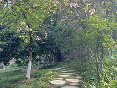 -南山植物园