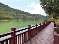 -广州白江湖森林公园