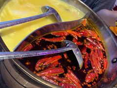 -捞围鲜·港式打边炉(海阳路店)