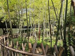 -杭州黄龙洞