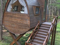 -黄海国家森林公园