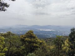-广州市帽峰山景区