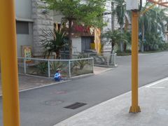-灵玲国际马戏城