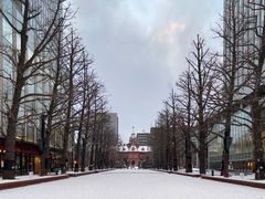 -北海道厅旧本厅舍(旧本庁舎)