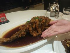-金春禧(世茂国际广场店)