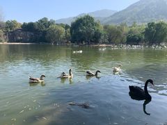 -西安秦岭野生动物园