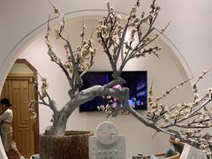 -不凡脑禅境·养生·舒压调理SPA(华发世纪城店)