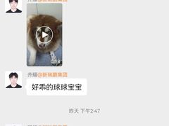 -美联众合动物医院·24h转诊中心