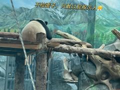 -武汉动物园