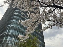 -上海世纪汇广场