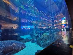 -成都浩海立方海洋公园