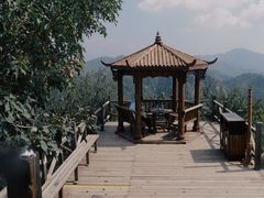 -大岭沟猕猴桃谷风景区