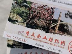 -南山植物园
