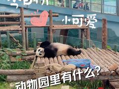 -大连森林动物园