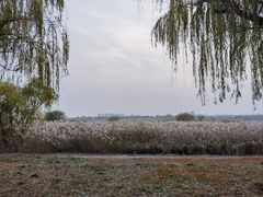 -绿堤公园