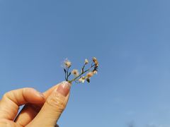 -洨河生态公园