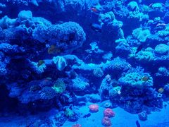 -太平洋海底世界