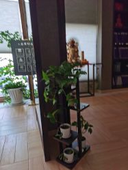 -香秀空间科技抗衰·美容中心
