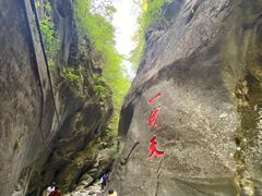 -黑河国家森林公园