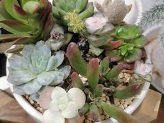 -半日闲手作DIY体验馆•陶艺•银饰戒指•拼豆(光谷店)