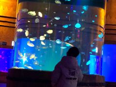 -华夏文旅海洋公园