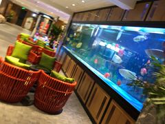 -弘安丽水温泉酒店
