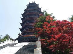 -铁山坪森林公园