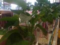 -嘉和一品粥(政府街店)
