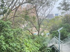 -佛山华盖山公园