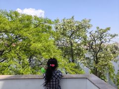 -莱西月湖公园