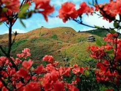 -大围山国家森林公园