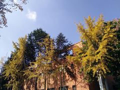 -西南民族大学南区(双流校区)