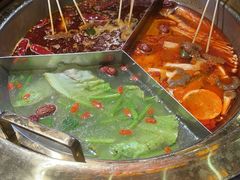 -蜀大侠火锅(森兰花园城店)